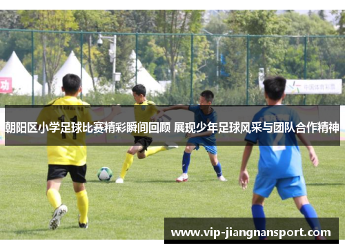 朝阳区小学足球比赛精彩瞬间回顾 展现少年足球风采与团队合作精神